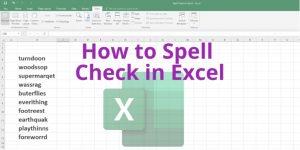วิธีตรวจสอบการสะกดใน Excel