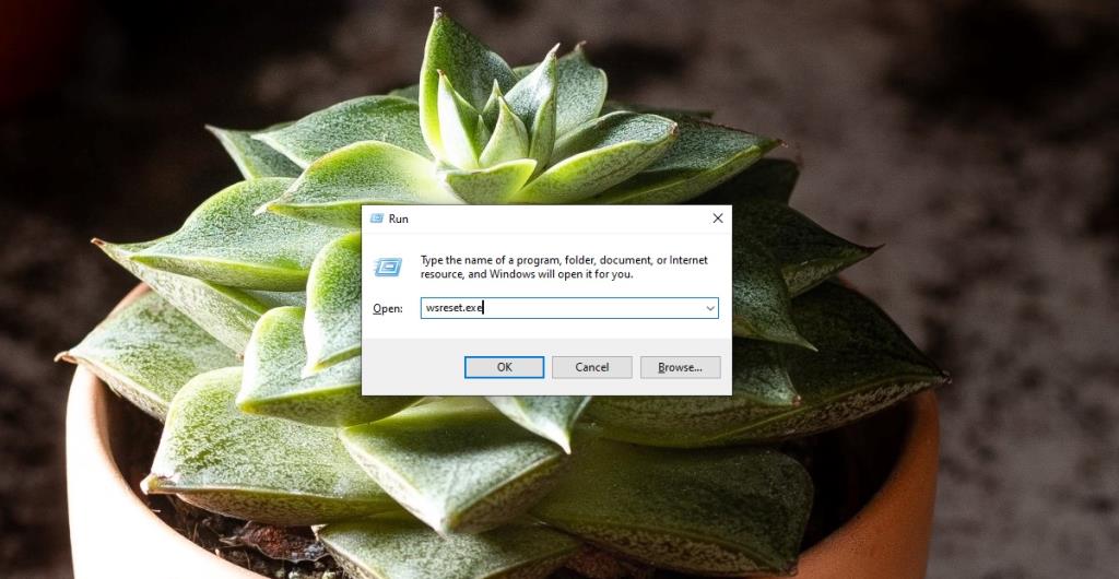 Windows 10 照片應用程序丟失？這是重新安裝照片應用程序的方法