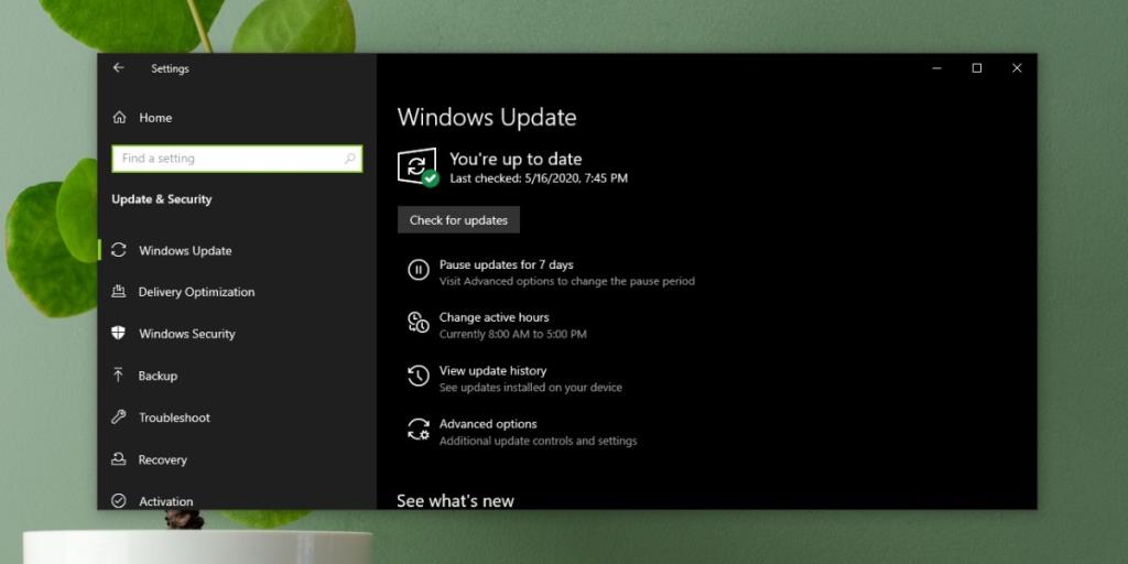 Jak naprawić aparat Skype nie działa w systemie Windows 10?