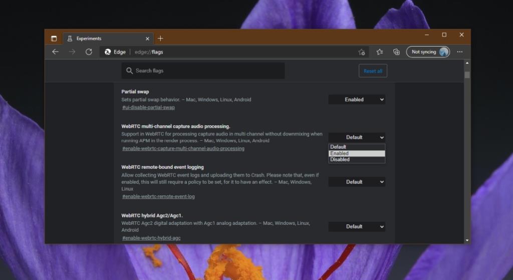 So greifen Sie auf die Seite Info: Flags von Microsoft Edge zu