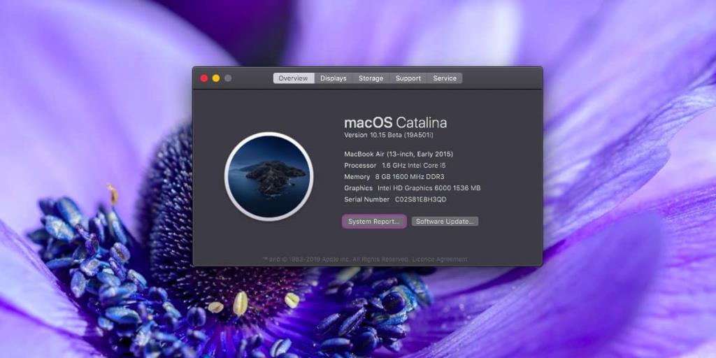 Come passare da macOS Catalina beta a macOS Catalina stabile