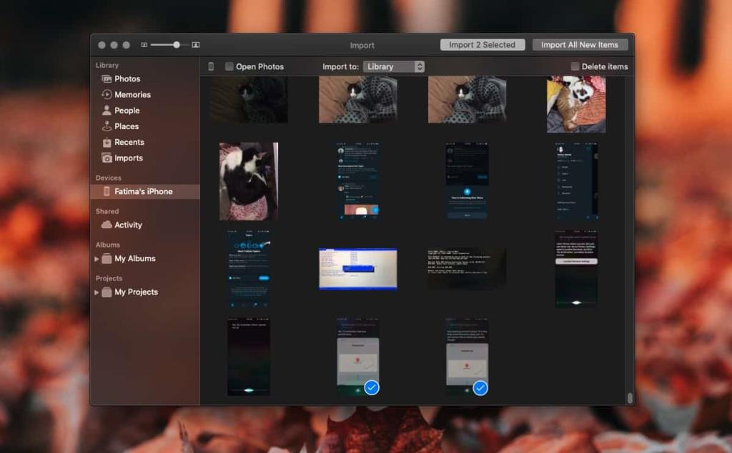 Cara mengakses file foto dari iPhone di macOS