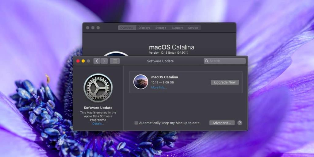 Come passare da macOS Catalina beta a macOS Catalina stabile