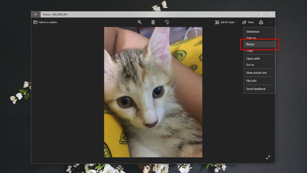 Windows10の写真アプリで写真のサイズを変更する方法