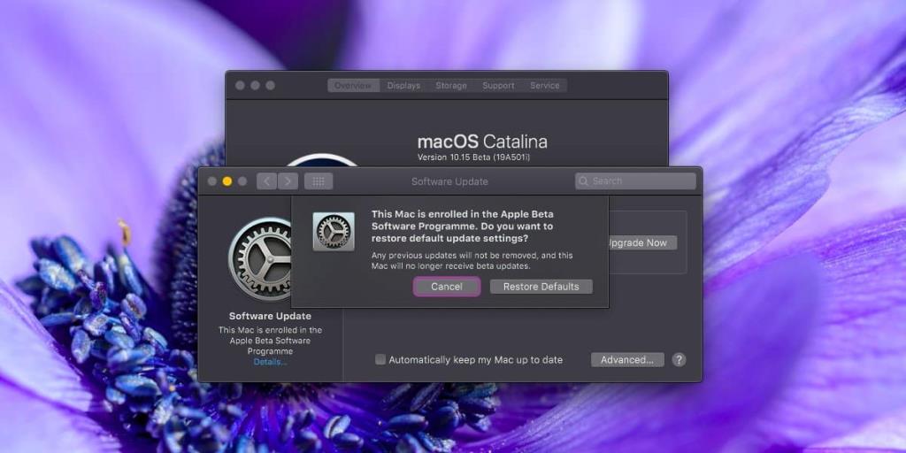 Come passare da macOS Catalina beta a macOS Catalina stabile