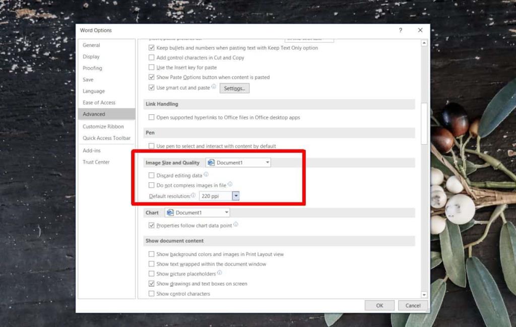 Cara menonaktifkan kompresi gambar di Office 365