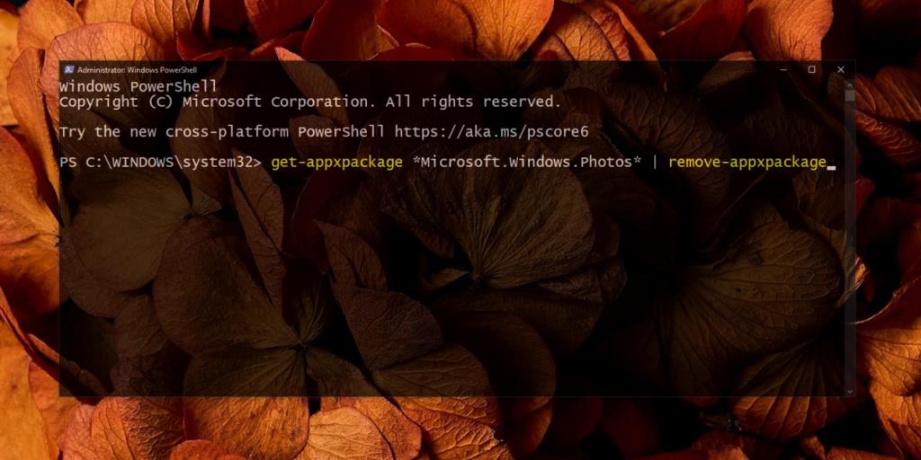Microsoft Photos.exe Hoog geheugengebruik (OPGELOST) op Windows 10