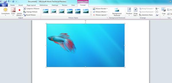 Decuparea ecranului – Realizarea unei capturi de ecran folosind Microsoft Office 2010