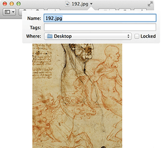 サードパーティ製アプリを使わずにMacを生産性高く設定する方法